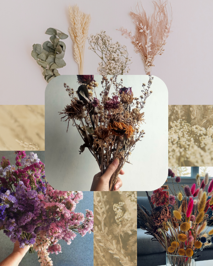 Évènement_Atelier : Bouquet de fleurs séchées_ Serres St-Élie Évènement_Atelier : Bouquet de fleurs séchées_ Serres St-Élie