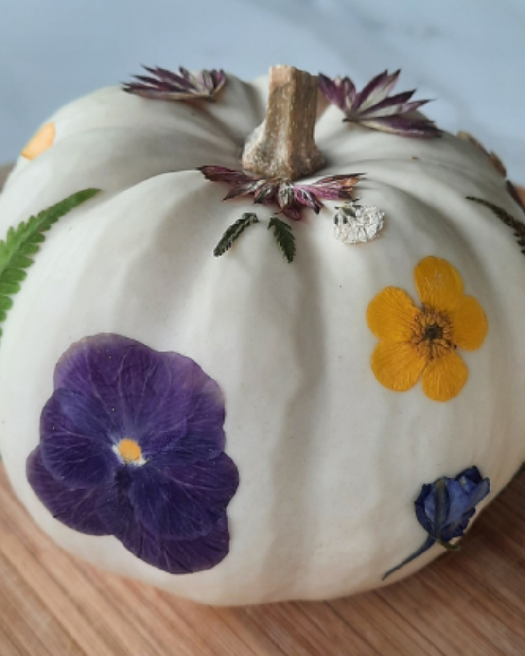 Week-end Halloween aux serres Week-end Halloween aux serres