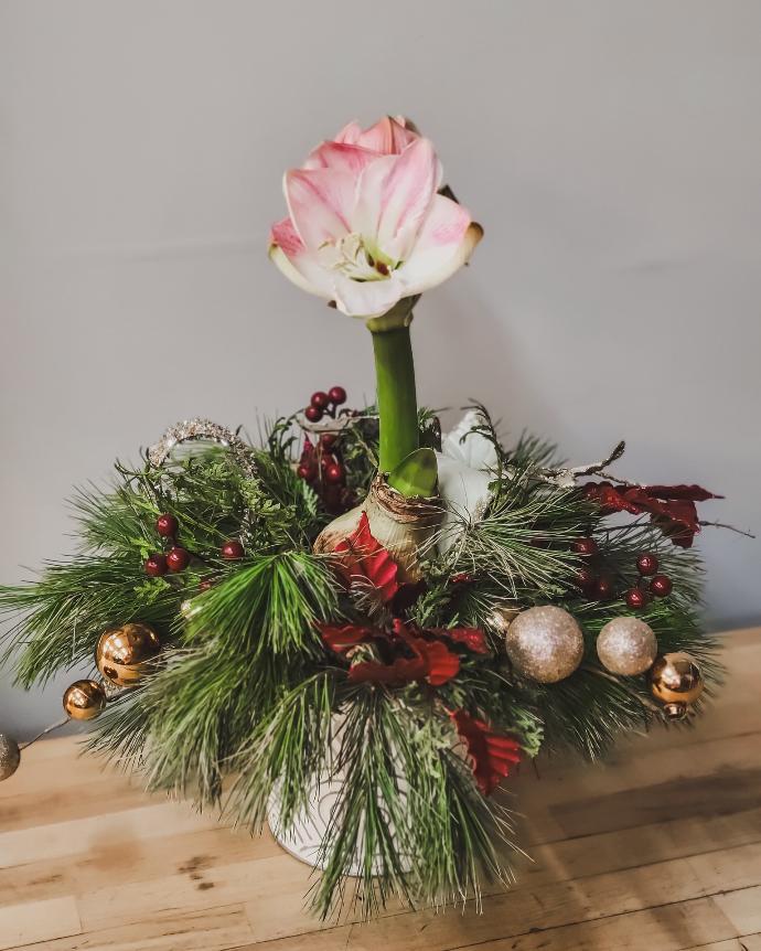 Centre de table naturel Amaryllis Serres St-Élie 