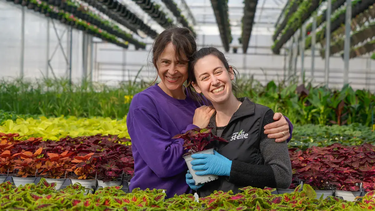 Serres St-Élie_À propos de nous_Centre de production_Horticulture_Fleurs et Végétaux
