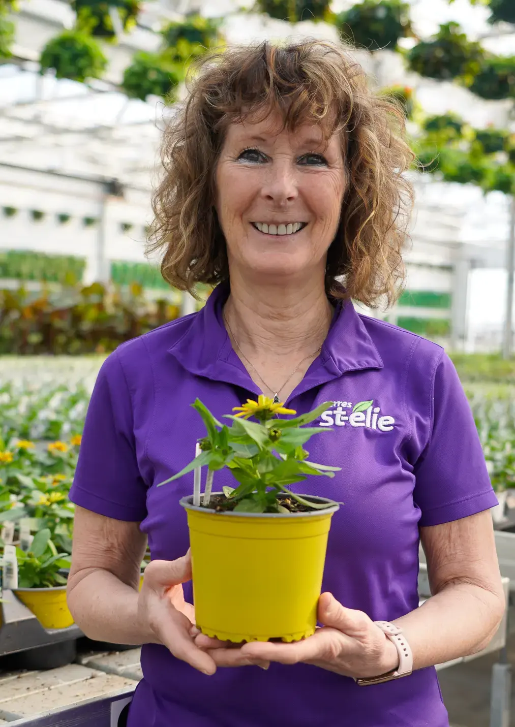 Serres St-Élie_À propos de nous_Centre de production_Horticulture_Fleurs et Végétaux