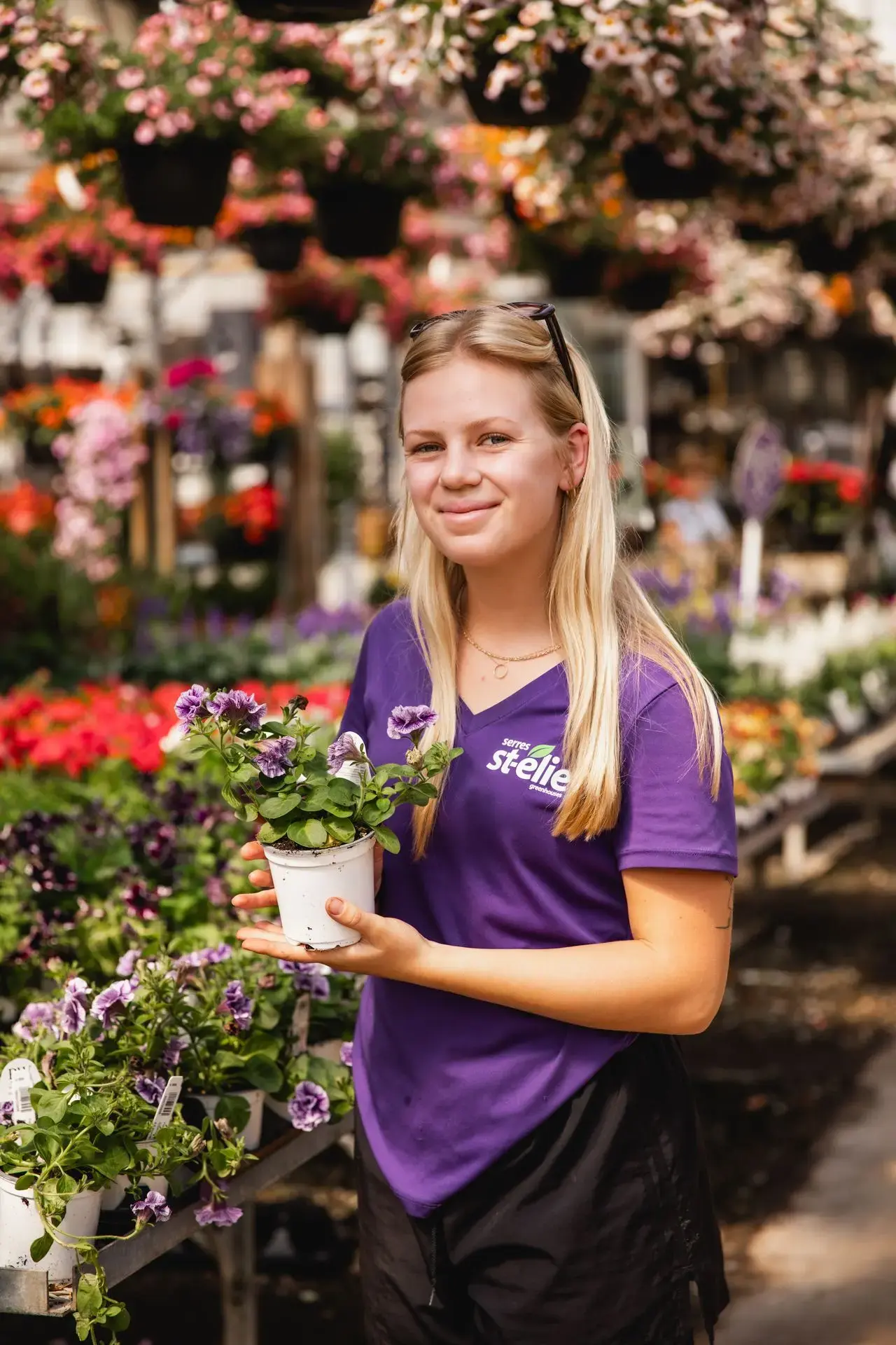 Serres St-Élie_À propos de nous_Centre de production_Horticulture_Fleurs et Végétaux