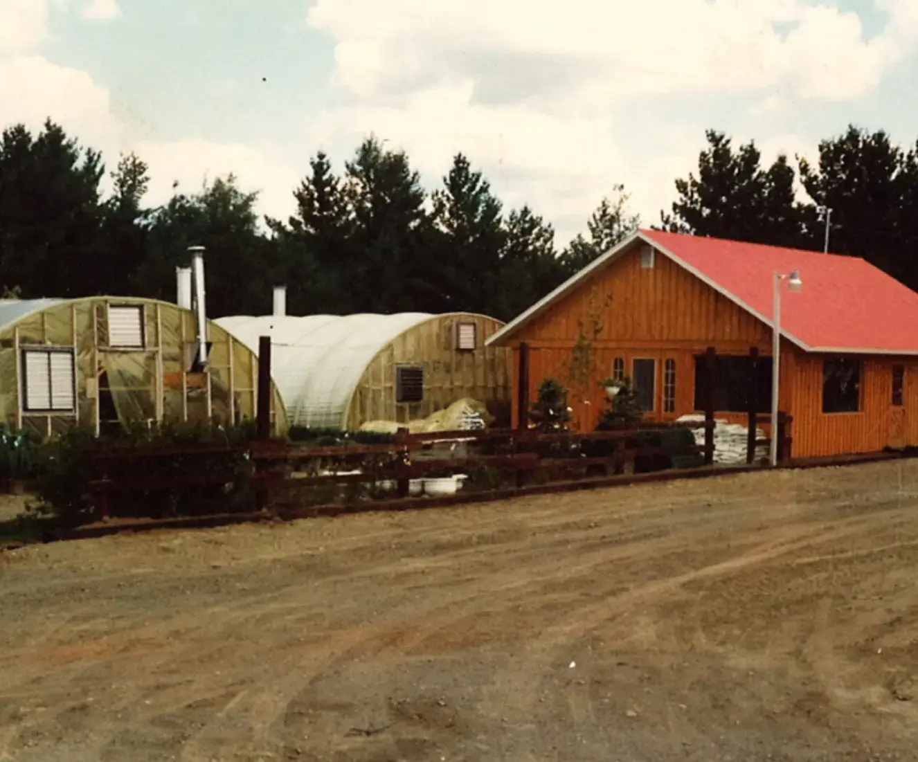 Serres St-Élie_À propos de nous_Centre de production_Horticulture_Fleurs et Végétaux