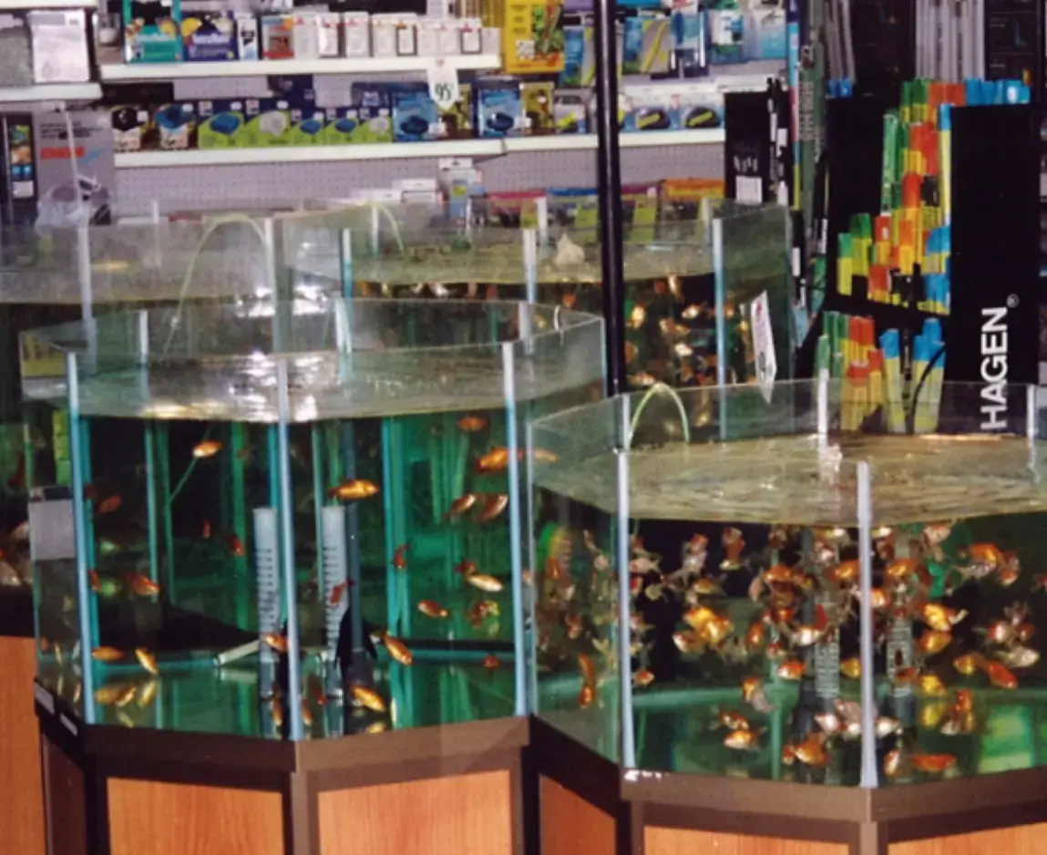 Serres St-Élie_À propos de nous_Centre de production_Horticulture_Fleurs et Végétaux