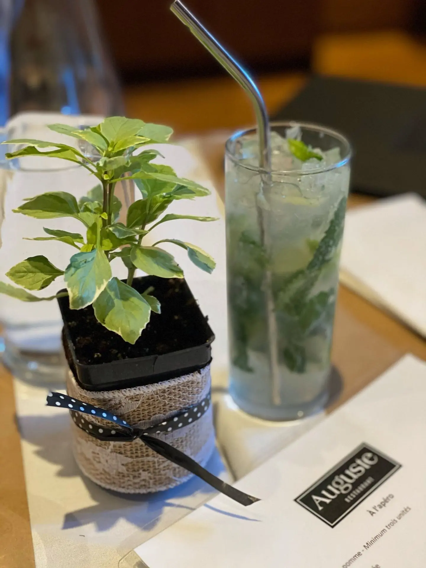 Serres St-Élie _ Service d'entretien et sélection de plantes d'intérieur commercial