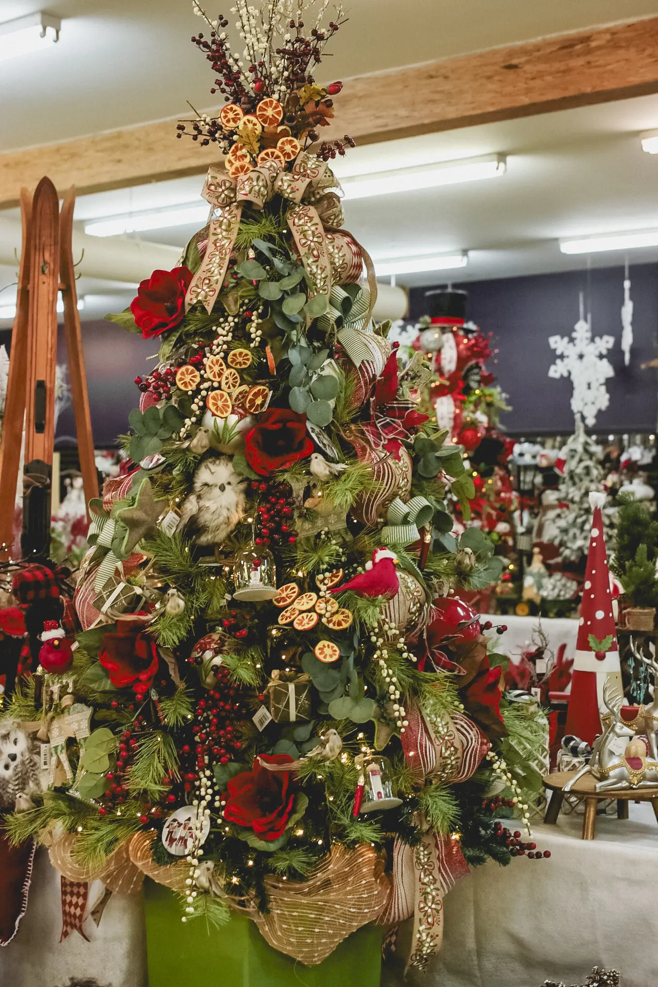 Accueil_Noël_Sapin_Décoration_Serres St-élie Accueil_Noël_Sapin_Décoration_Serres St-élie