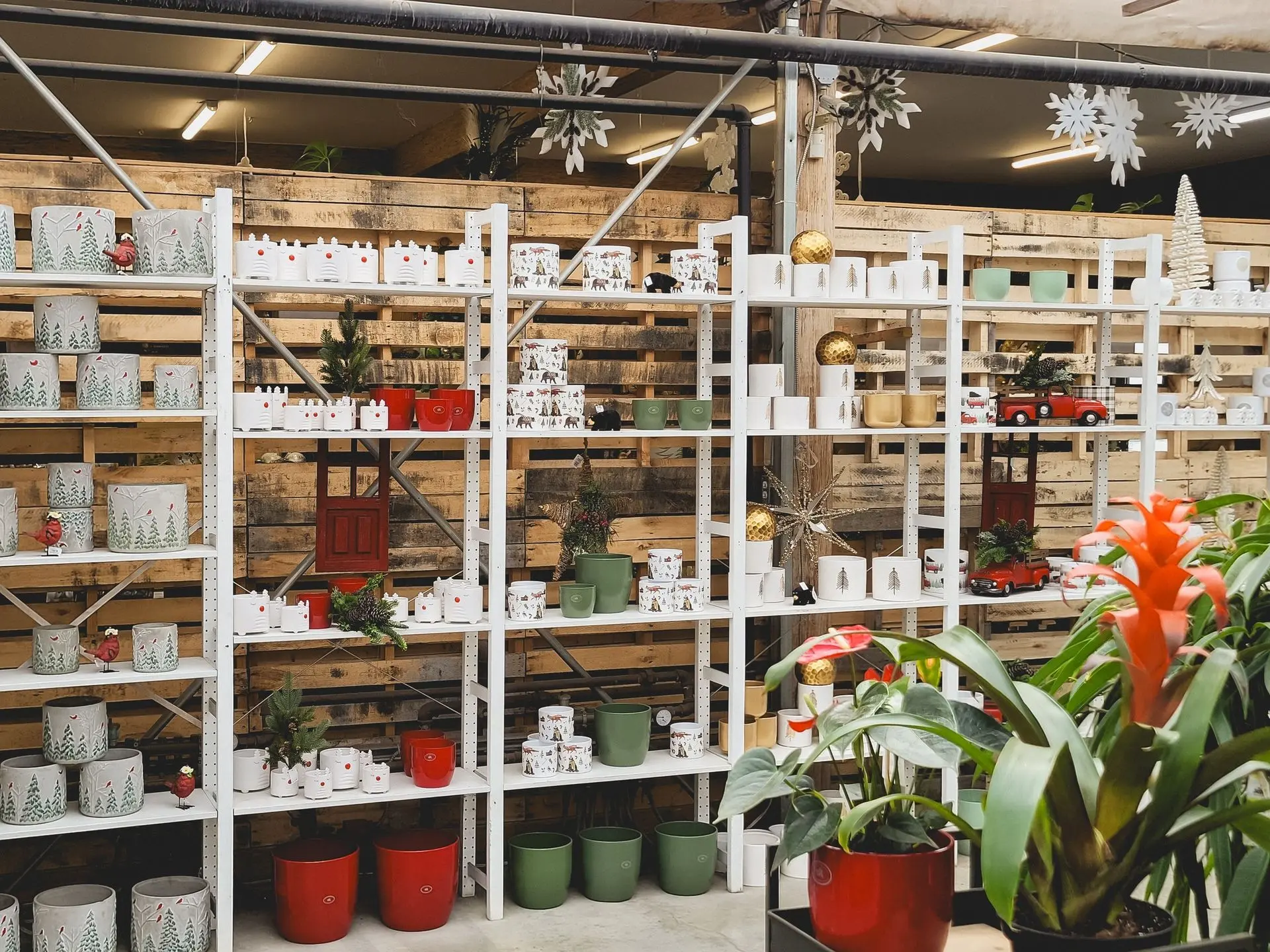 Accueil_Noël_Pot_Serres St-élie Accueil_Noël_Pot_Serres St-élie