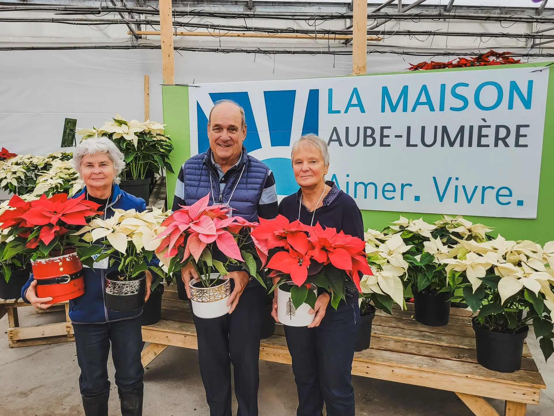 Serres St-Élie_Maison aube lumière_Campagne de financement_Poinsettia Serres St-Élie_Maison aube lumière_Campagne de financement_Poinsettia