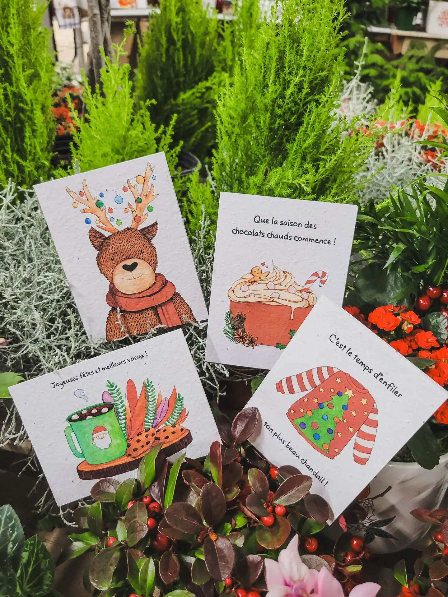 Accueil_Noël_Carte_Serres St-élie Accueil_Noël_Carte_Serres St-élie