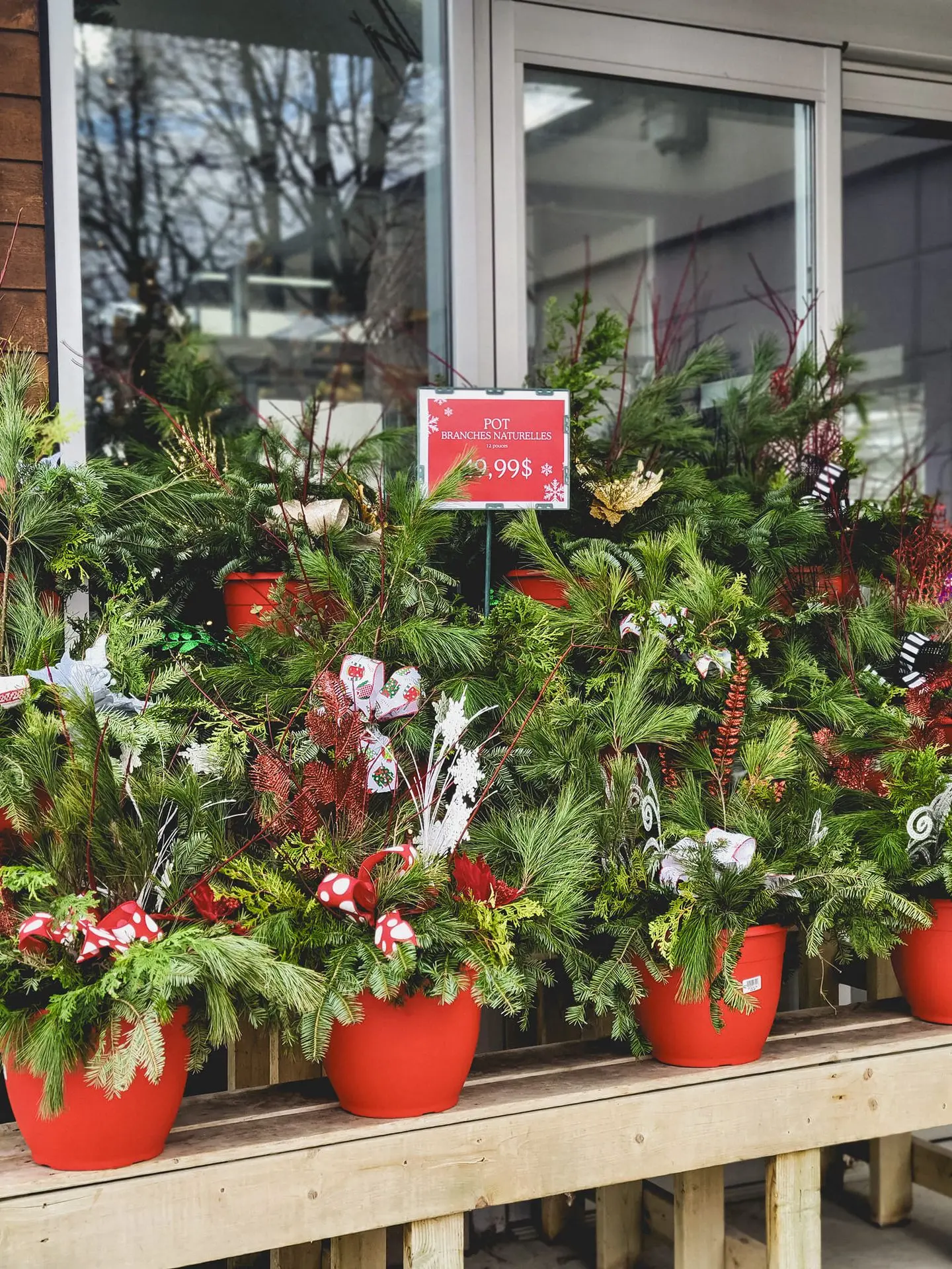 Accueil_Noël_Pot décoratif_Serres St-élie Accueil_Noël_Pot décoratif_Serres St-élie