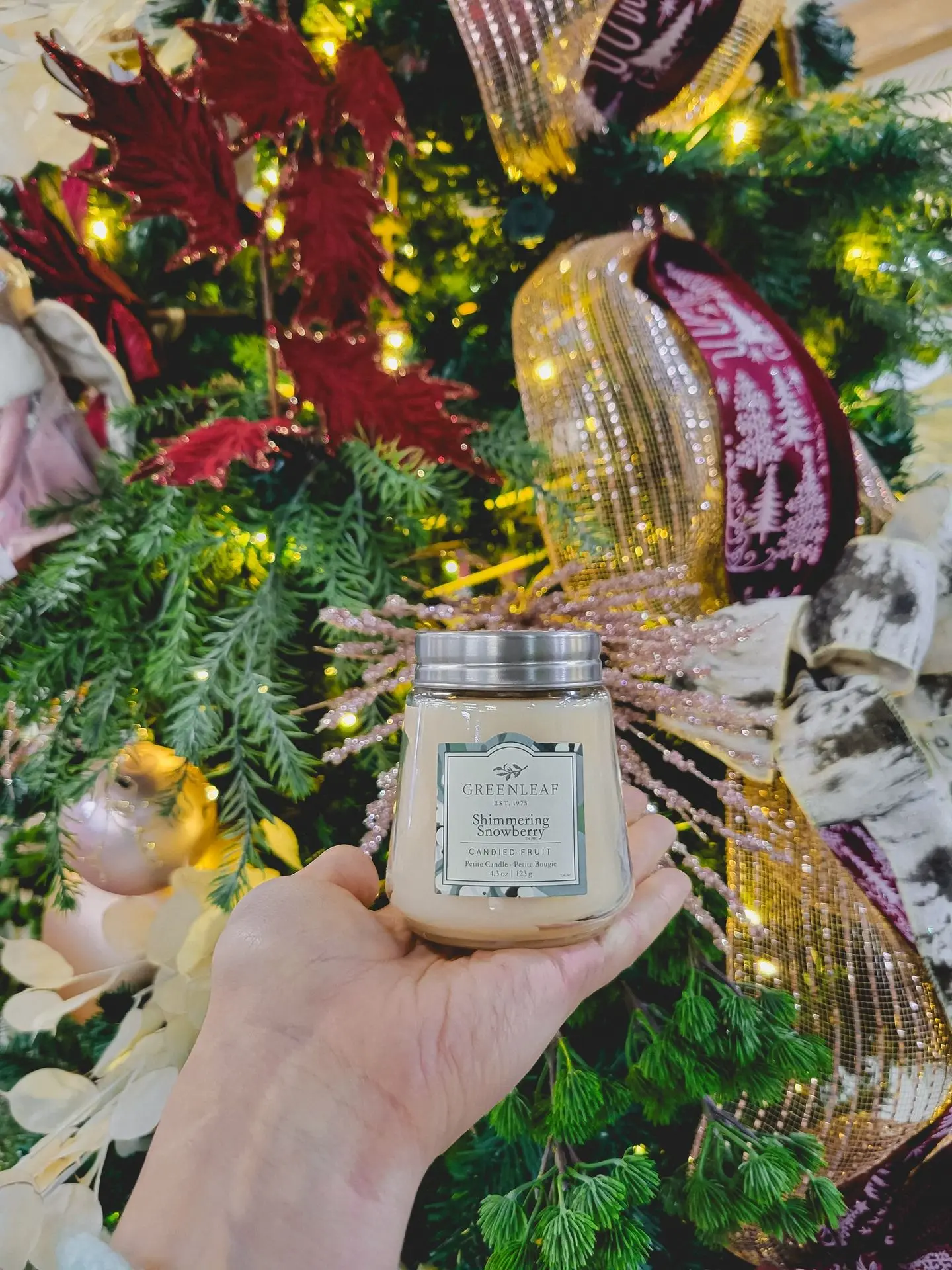 Accueil_Noël_Chandelle_Serres St-élie Accueil_Noël_Chandelle_Serres St-élie