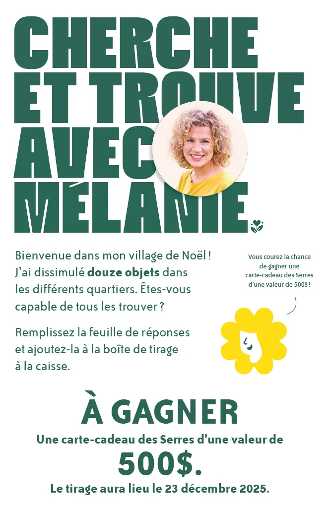 Cherche et Trouve avec Mélanie_Noël 2025