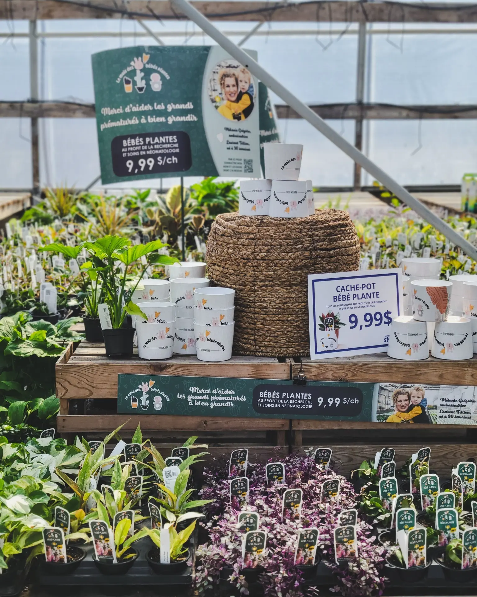 Serres St-Élie_Partenaire_mois des bébés plantes Serres St-Élie_Partenaire_mois des bébés plantes