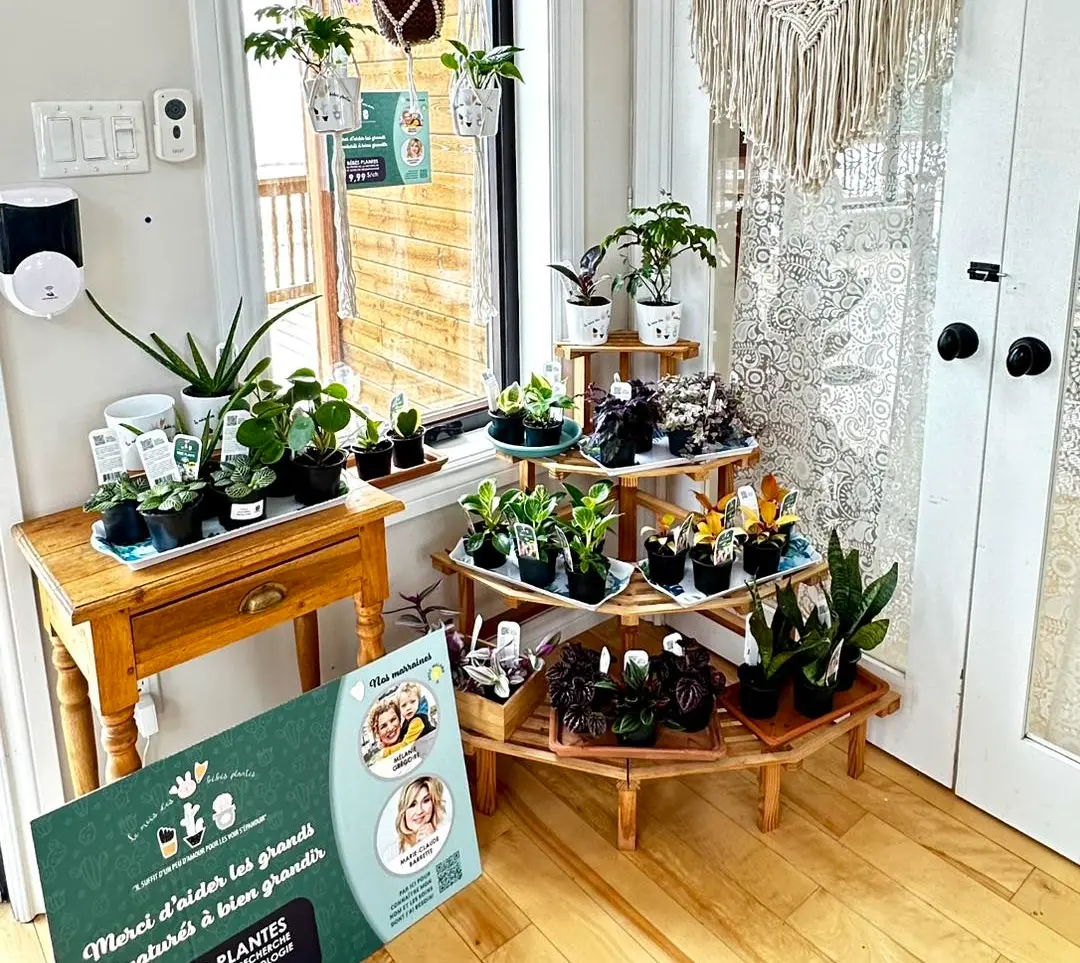 Serres St-Élie_Partenaire_mois des bébés plantes Serres St-Élie_Partenaire_mois des bébés plantes