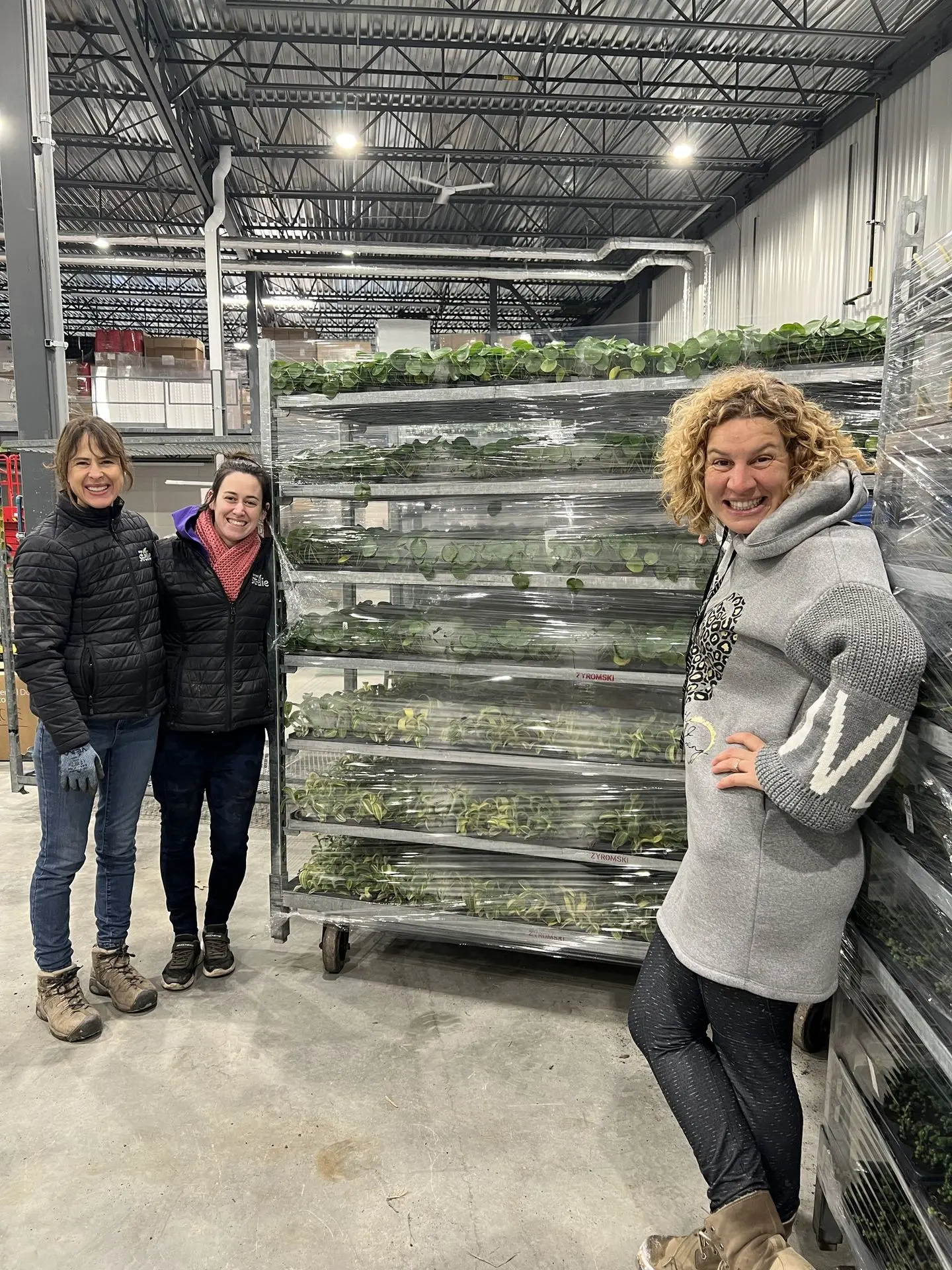 Serres St-Élie_Partenaire_mois des bébés plantes Serres St-Élie_Partenaire_mois des bébés plantes