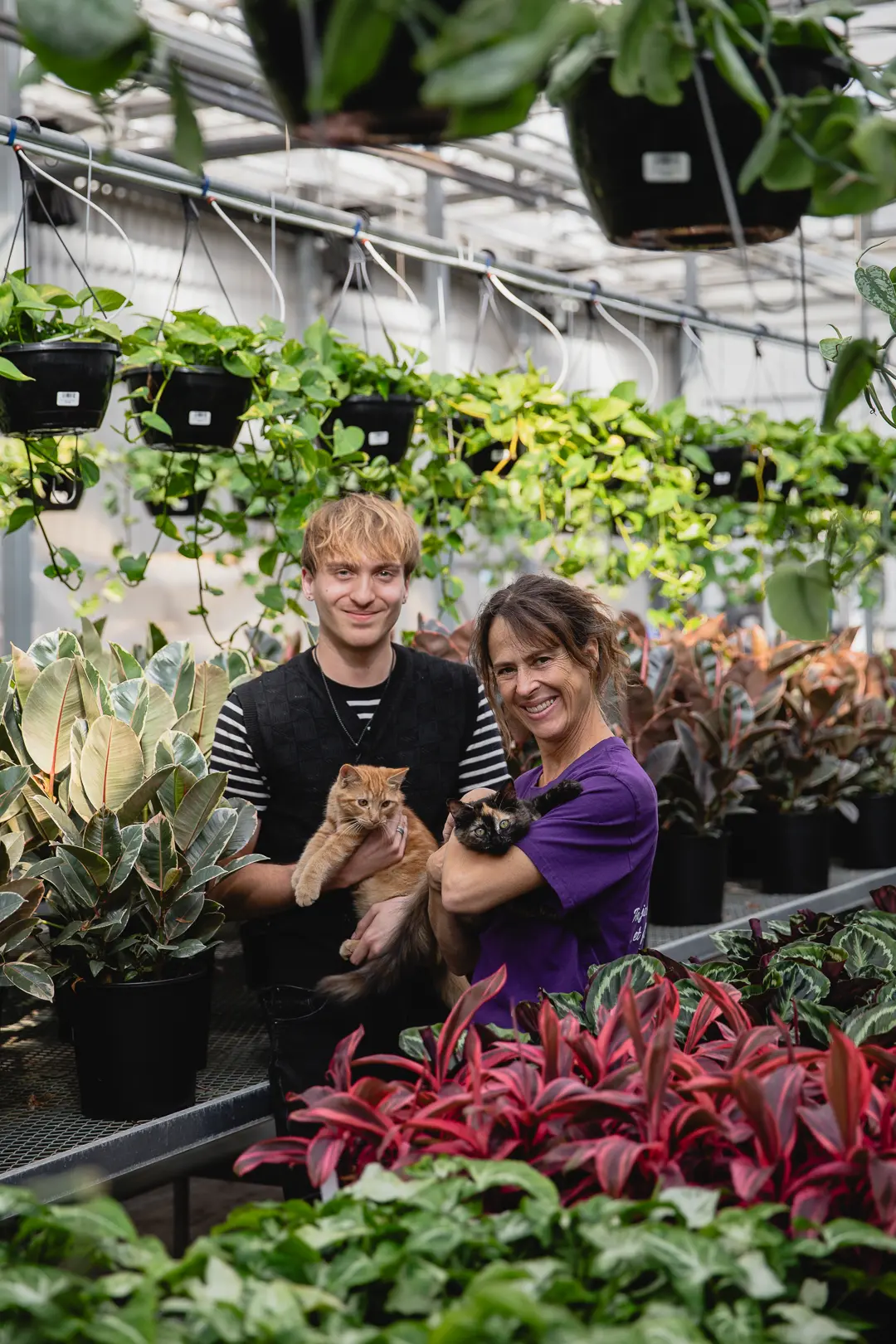 Serres St-Élie_ Diagnostic de plantes