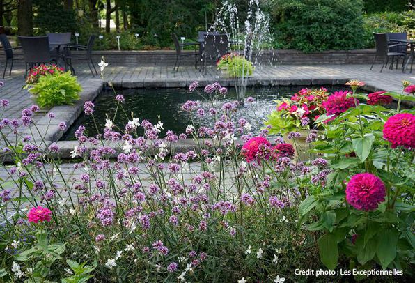 Les exceptionnelles_Fleurs Annuelles