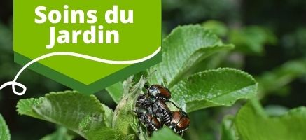 Boutique en ligne _ Produit _ Soin du jardin_ Engrais_ insecticide