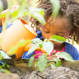 Activité_Arroser les plantes