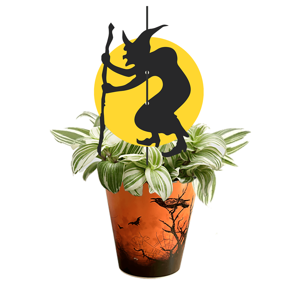 Avec Mélanie : Boîte de 10 plantes effrayantes 4.5 po