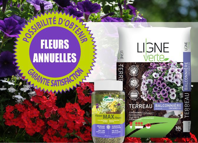 Garantie annuelles