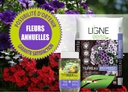 Garantie annuelles