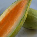 Semences melon Banana biologique