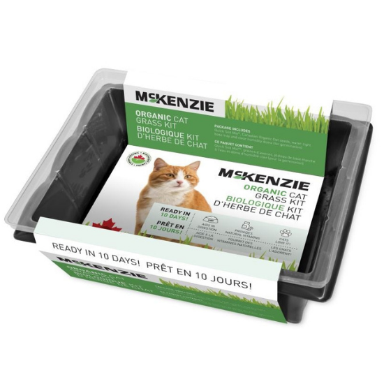 Kit d'herbe de chat biologique Mckenzie
