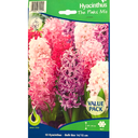 Bulbes : Jacinthe - The Pinks Mix - Hyacinth