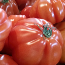 [TOMACOEUROUG4.5] Tomate Coeur De Boeuf