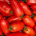 [TOMAPOZZROUG6] Tomate Pozzano (6 pouces)