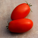 [TOMASUPRROUG4.5] Tomate Supremo (4.5 pouces)