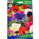 Bulbes: Anemone Coronaria Mix