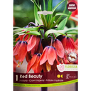 Bulbes :  Fritillaria - Red Beauty - Crown Imperial