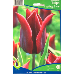 Bulbes : Tulipe - Lasting Love - Lily Flowering