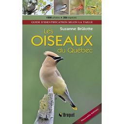 Livre: Guide d'identification selon la taille - Les oiseaux du Québec