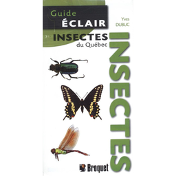 [8946] Livret: Guide éclair - Insectes du Québec