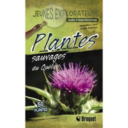 [5568] Livre: Plantes sauvages du Quebec