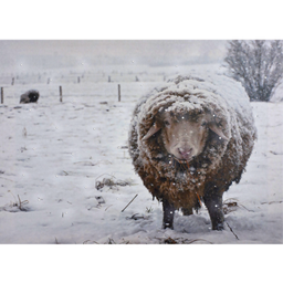 [XM-JD1329] Toile illuminée - Mouton sur la neige