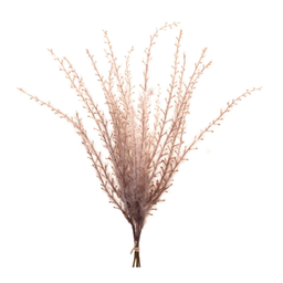 [90941] Branche décorative: Bouquet de petites branches