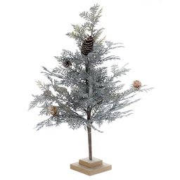 [XM-TR1145] Sapin blanc