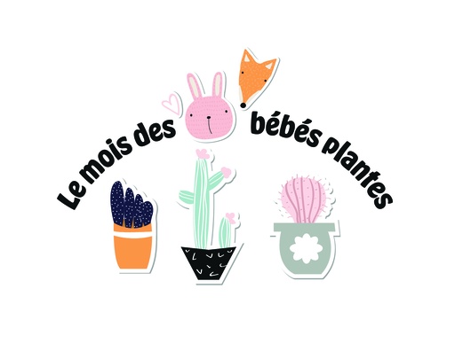 [BBBOFAC] Plantes faciles (BB boîte)