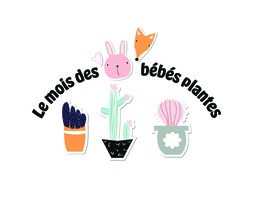 [BBBOITEDEC] Plantes Nouveautés 2025 (BB boîte)